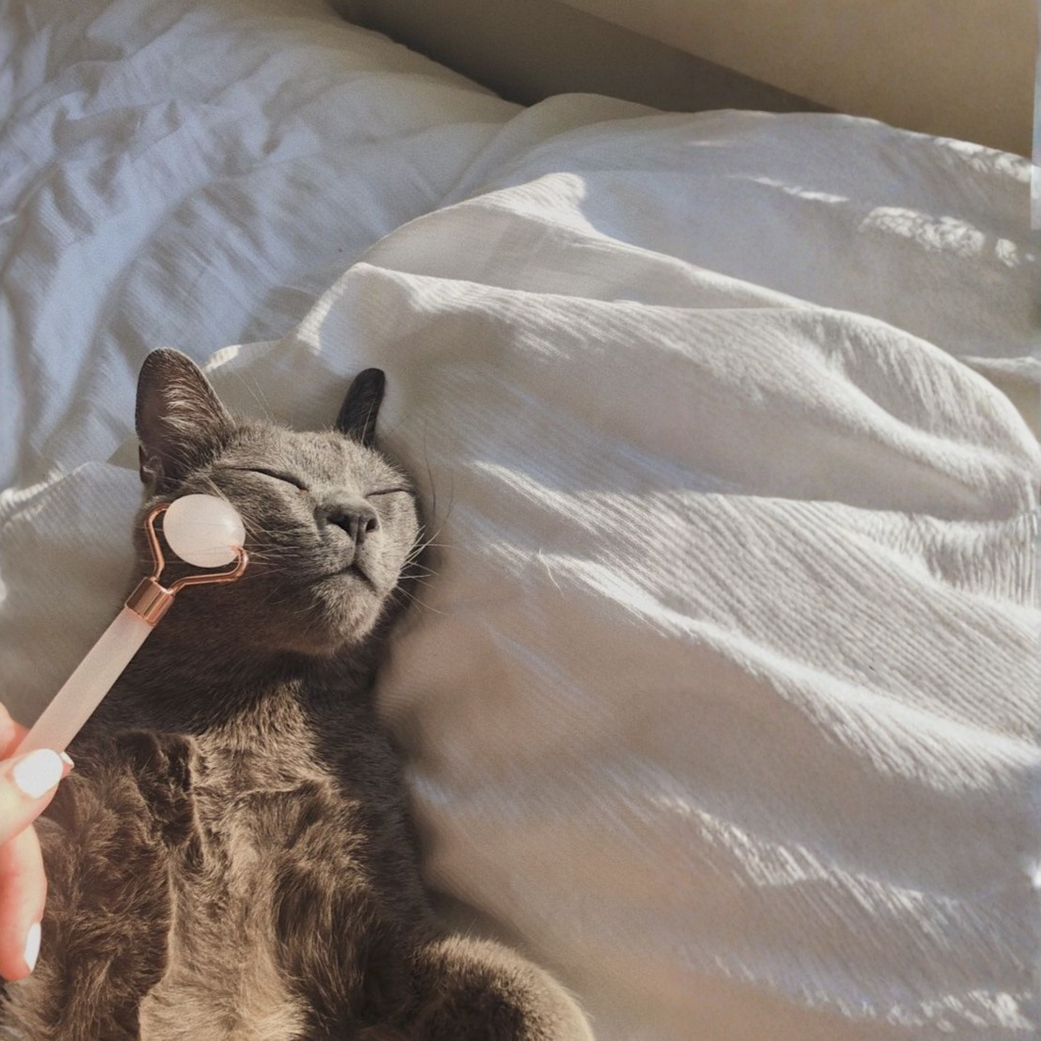 Hygiene and cleaning