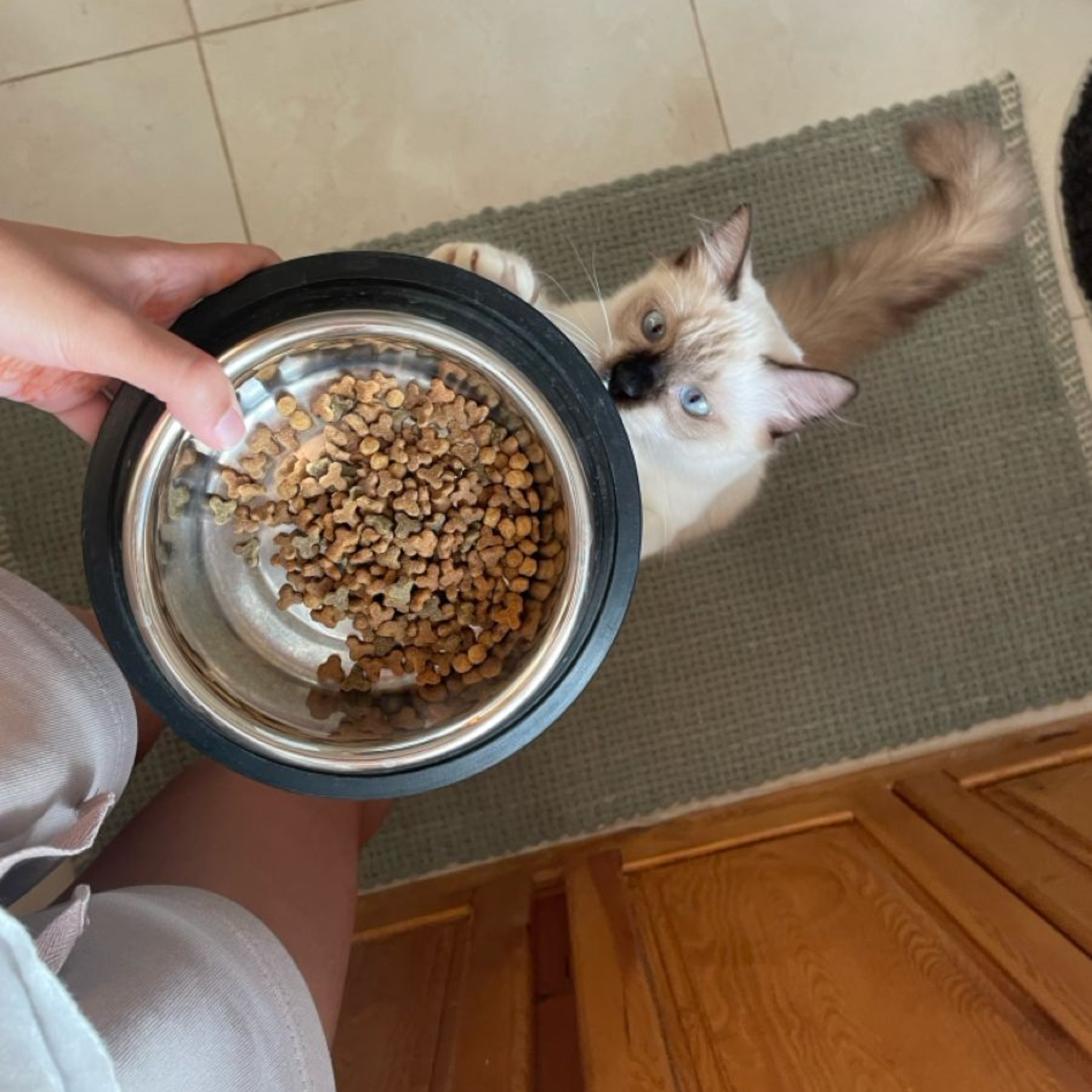 Mealtime