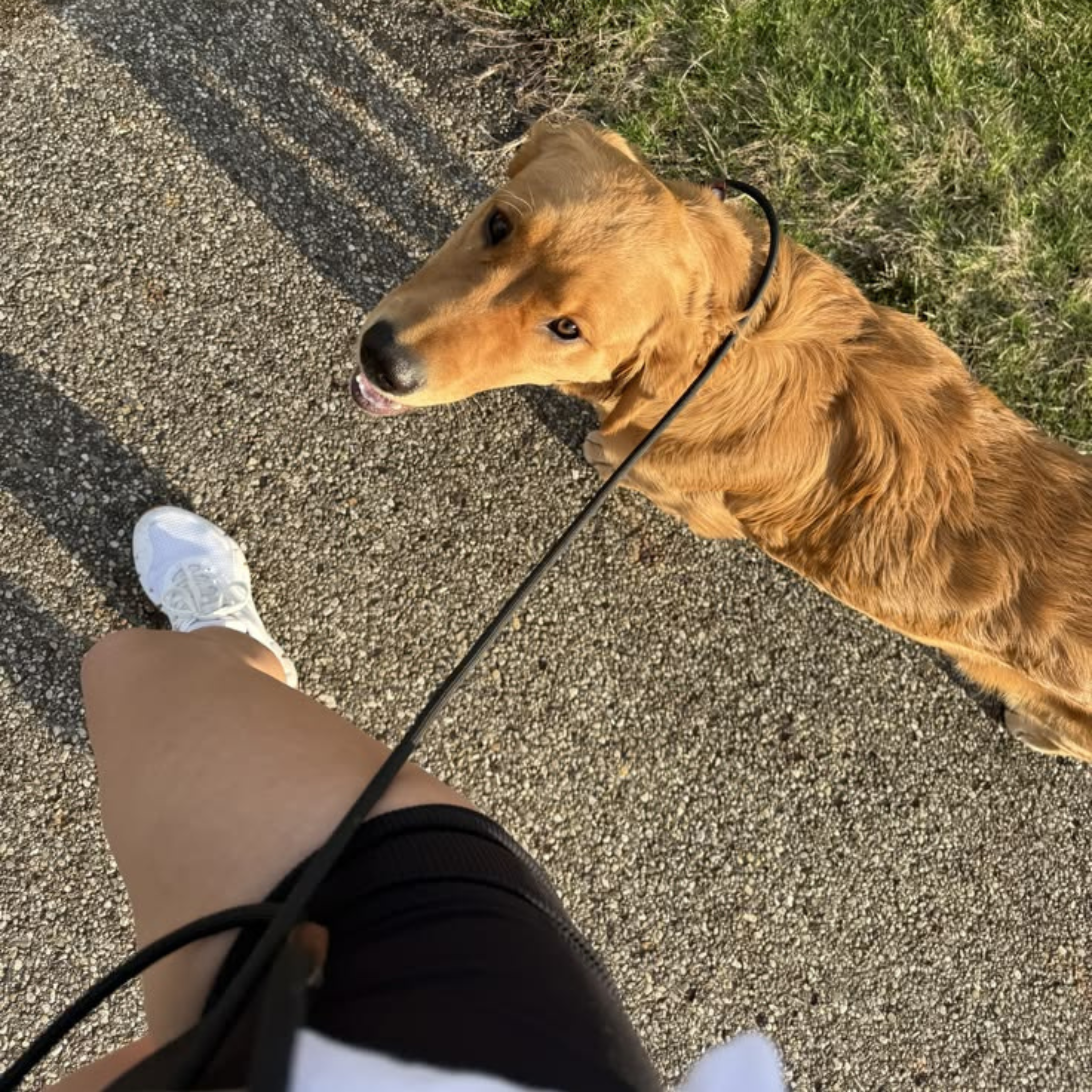 Time for the walk