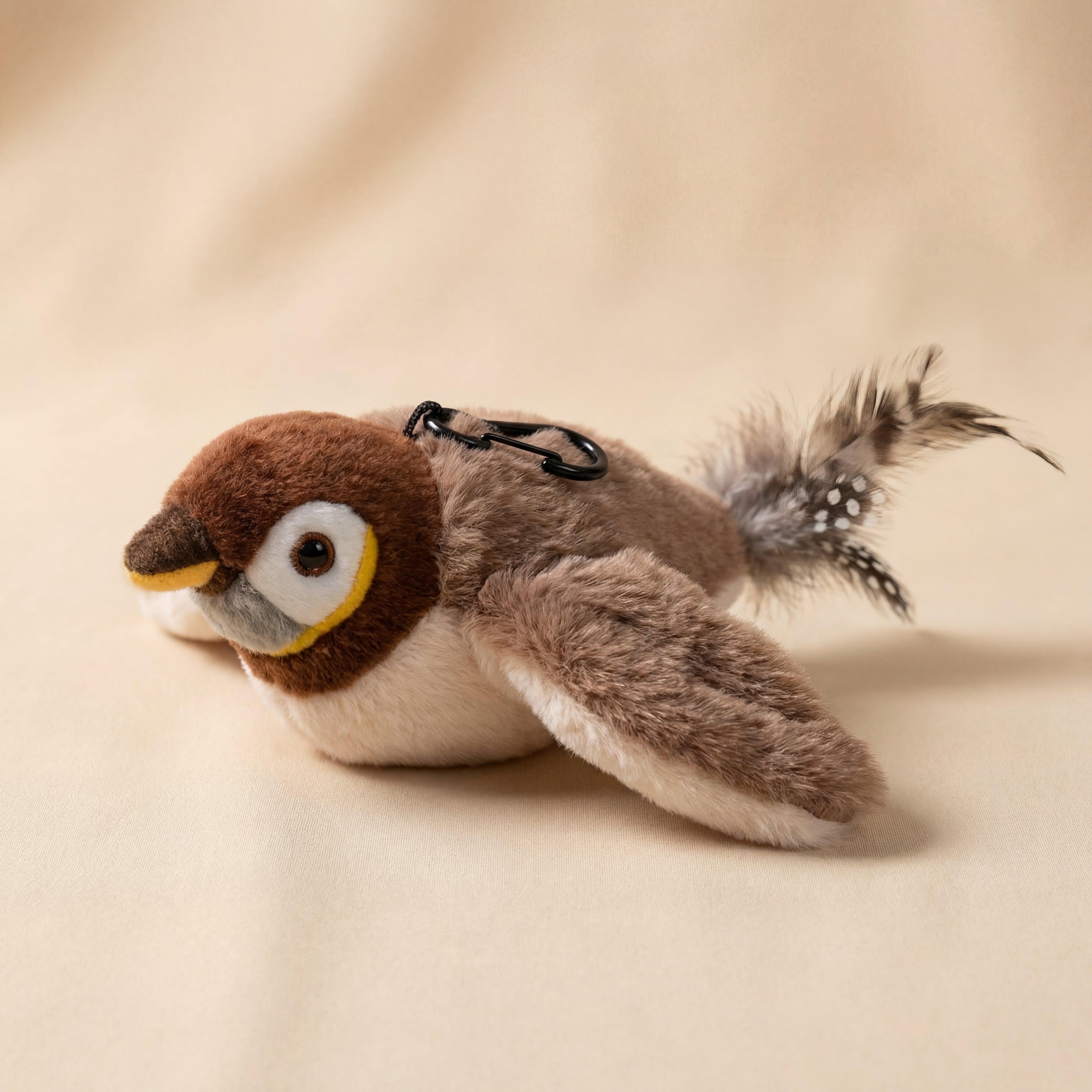 Cottle Birdy