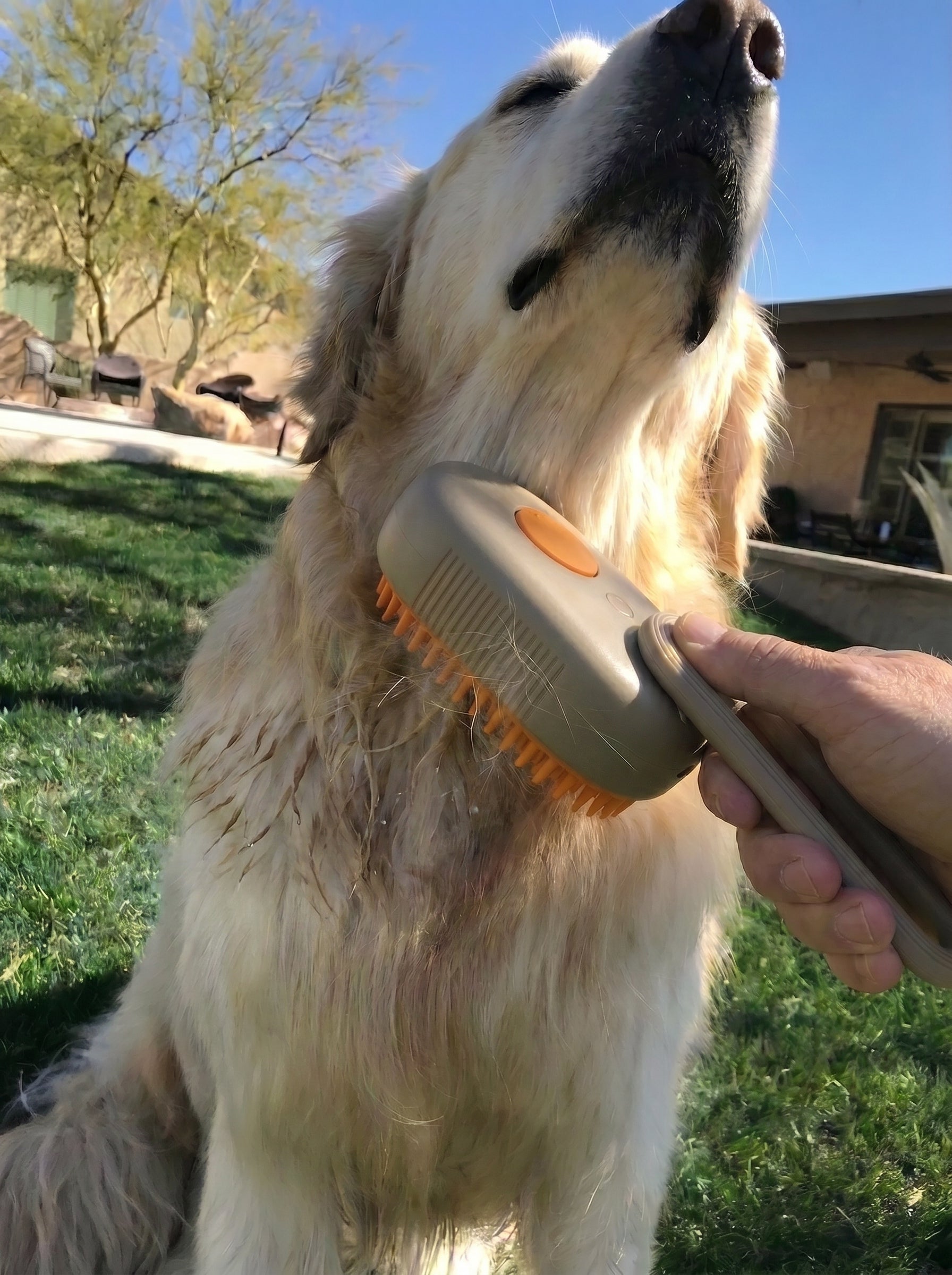 Cottle Vapour Brush